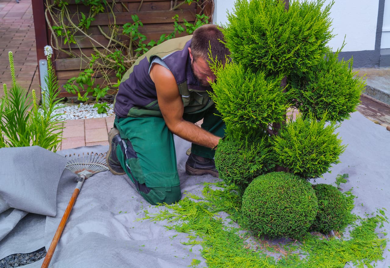 Thumbnail-For-Budget-Friendly Landscape Designs Father & Son-By-Father & Son YYC